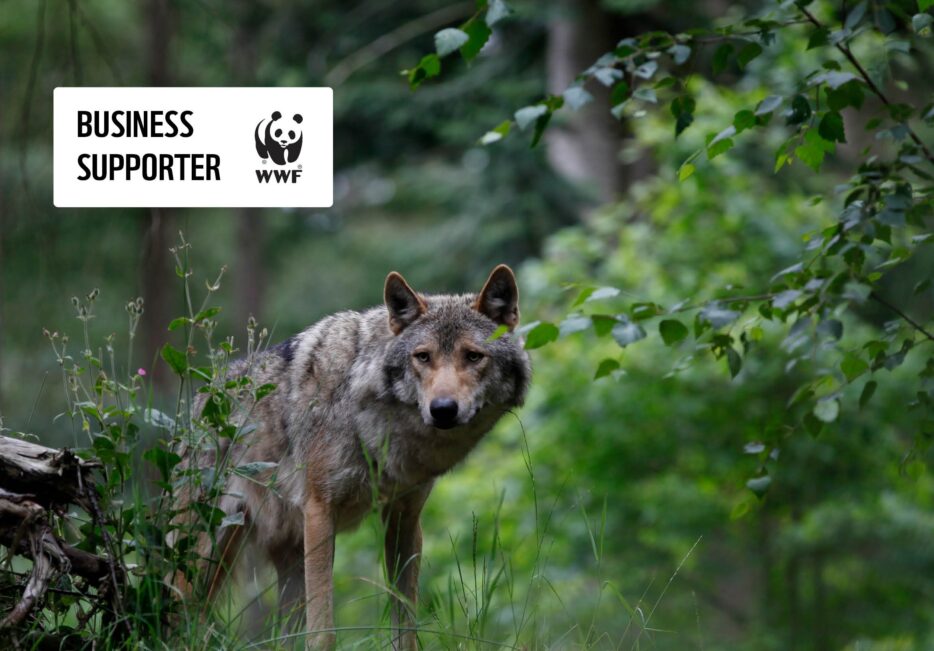 WWF
